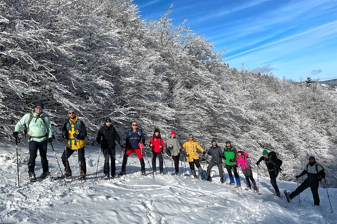 Experience Snowshoeing in Olympic Mountain Bjelašnica - From Sarajevo to Babin do at 1,267 meters