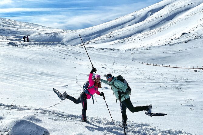 Experience Snowshoeing in Olympic Mountain Bjelašnica - Who will enjoy this day most