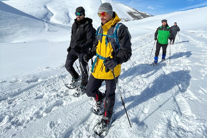 Experience Snowshoeing in Olympic Mountain Bjelašnica - Timing, weather, and what to ask