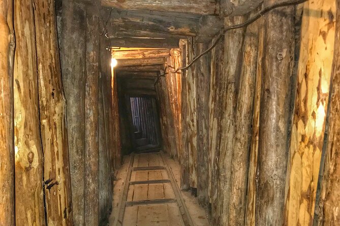 Fall of Yugoslavia, Sarajevo War Tour with Tunnel of Hope Museum and Frontlines - Gavrilo Princip and the longer road to conflict