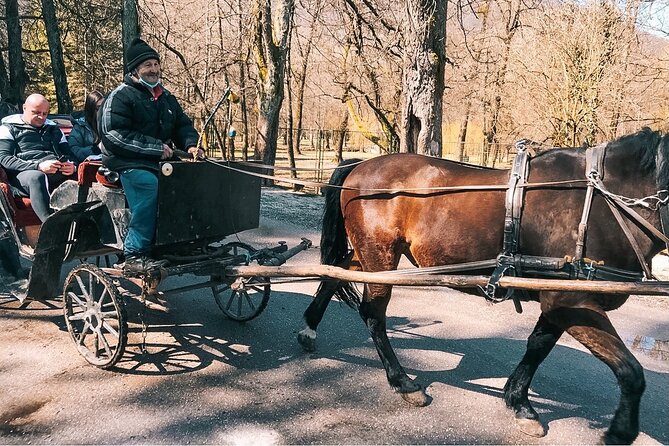 From Sarajevo: Bijambare Cave and Spring of River Bosna Tour - Finishing at the Spring of the River Bosna