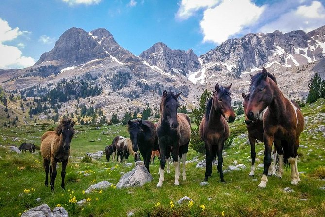 Hiking between Bosnia and Herzegovina - Five things that make this mountain trip different