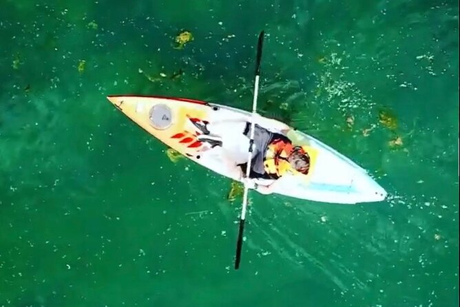 Safari kayak adventure w BBQ & Beer - The Bunica spring and the short wet crossing
