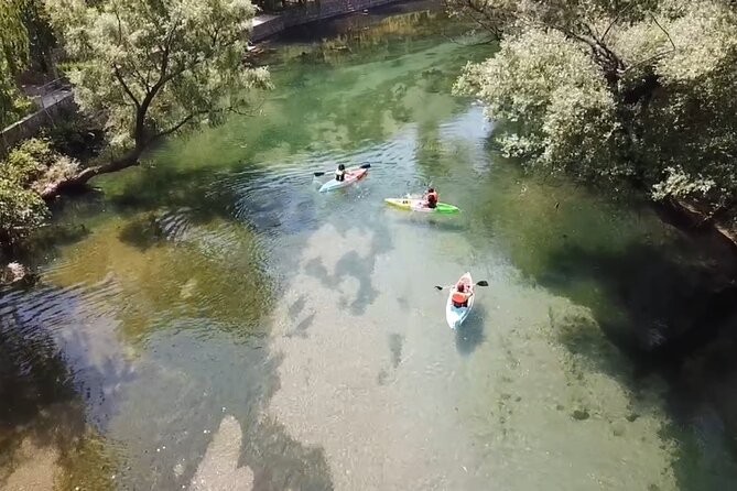 Safari kayak adventure w BBQ & Beer - Returning through willows and quiet water
