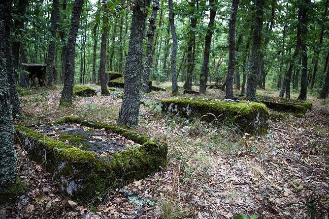 Sarajevo to/from Belgrade UNESCO Transfer Day Tour (Fees Incl.) - Dobrun Monastery and the Bosnia-Serbia border