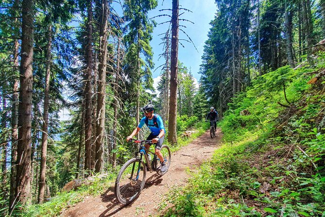 Trebevic Mountain Biking Tour from Sarajevo - Bobsleigh Track - The descent through forest, rock, and asphalt